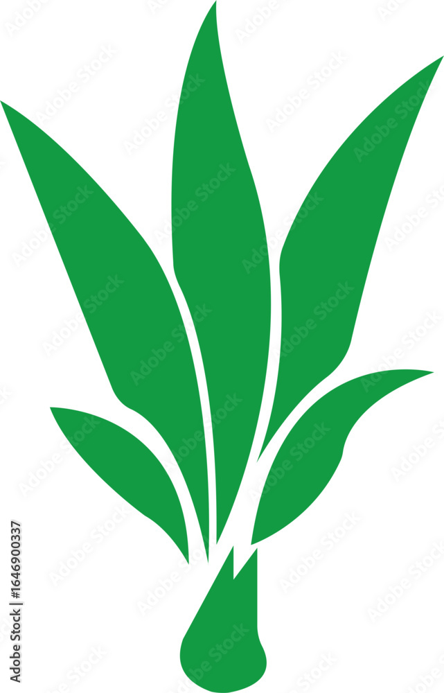 Fototapeta premium Bamboo Sugarcane icon. Design elements for social network and application. on transparent background.Sugarcane stalks vector illustration of fresh sugarcane plants for agriculture.