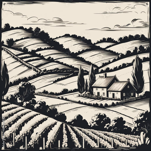 Vineyard Tranquility: A detailed, black-and-white illustration of a charming vineyard landscape, evoking the peace and serenity of a countryside escape. 