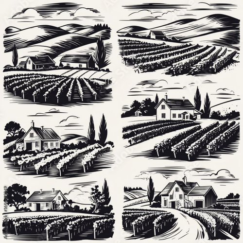 Vineyard Scene Art Collection: A captivating collection of six art pieces, showcasing stylized vineyards in varied settings, highlighting rural architecture amidst the beauty of nature. 