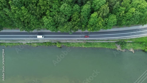 Wallpaper Mural Forest road by riverside in summer Torontodigital.ca