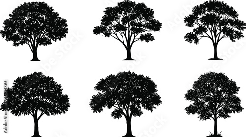 Set of 6 black silhouette trees with rich detailed foliage and grass bases, perfect for nature graphics, landscaping designs, and environmental artwork