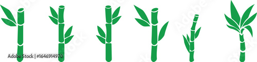 Bamboo Sugarcane icon set. Design elements for social network and application. on transparent background.Sugarcane stalks vector illustration of fresh sugarcane plants for agriculture.