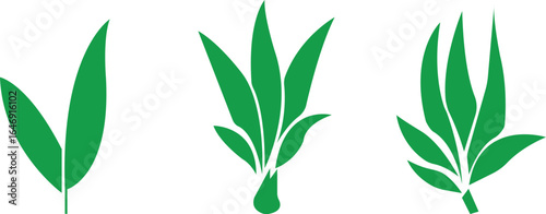 Bamboo Sugarcane icon set. Design elements for social network and application. on transparent background.Sugarcane stalks vector illustration of fresh sugarcane plants for agriculture.