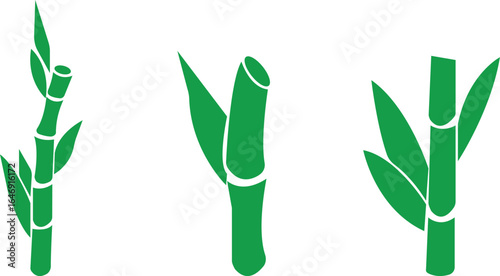 Bamboo Sugarcane icon set. Design elements for social network and application. on transparent background.Sugarcane stalks vector illustration of fresh sugarcane plants for agriculture.