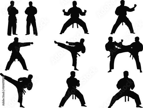 Martial arts silhouettes, fighting poses, punching action, high kick, sparring stance, combat training, grid layout, vector illustration, black graphic