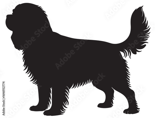 CAVALIER KING CHARLES SPANIEL DOG SILHOUETTE