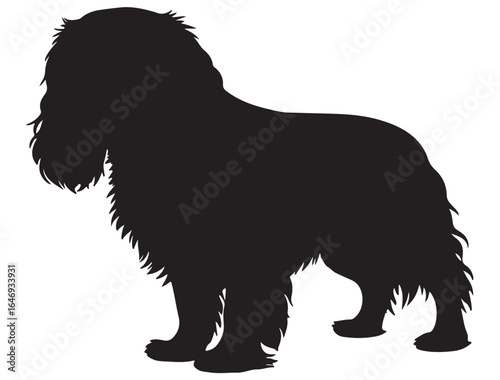 CAVALIER KING CHARLES SPANIEL DOG SILHOUETTE