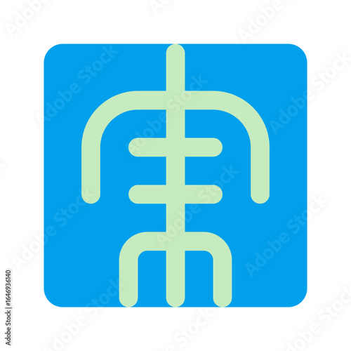 x ray duo tone icon