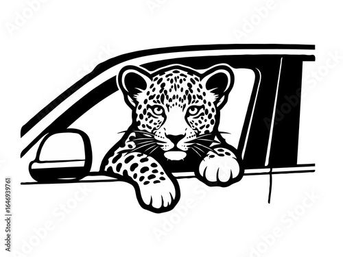 Leopard Cub Peeking Out of Car Window