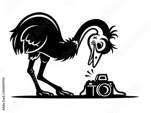 Emu Inspecting a Camera: A Curious Ostrich
