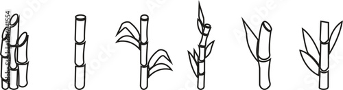 Bamboo Sugarcane line art icon set. Design elements for social network and application. on transparent background.Sugarcane stalks vector illustration of fresh sugarcane plants for agriculture.
