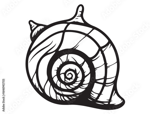 CONCH SHELL SILHOUETTE