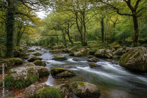 Tranquil river flowing through mossy woodland