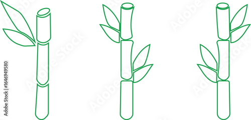 Bamboo Sugarcane line art icon set. Design elements for social network and application. on transparent background.Sugarcane stalks vector illustration of fresh sugarcane plants for agriculture.