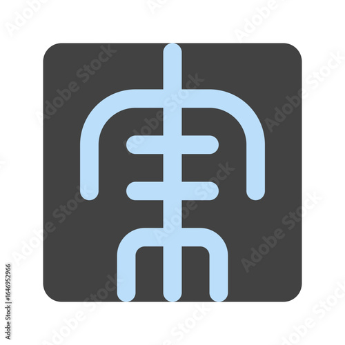 x ray flat icon