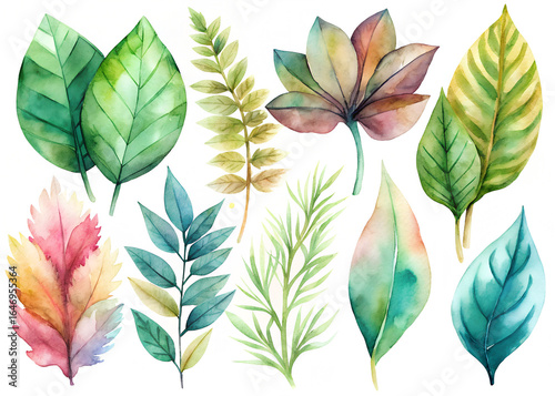 Watercolor Tropical Leaves and Foliage Collection Botanical Art