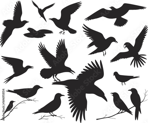 bird, silhouette, flying, perched, crow, raven, flock, black, nature, wildlife, wings, flight, perched branch, animal, vector, illustration, isolated, group, beak, feather