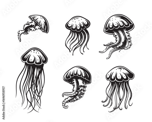 Jellyfish vector cartoon icon.