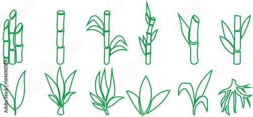 Bamboo Sugarcane line art icon set. Design elements for social network and application. on transparent background.Sugarcane stalks vector illustration of fresh sugarcane plants for agriculture.