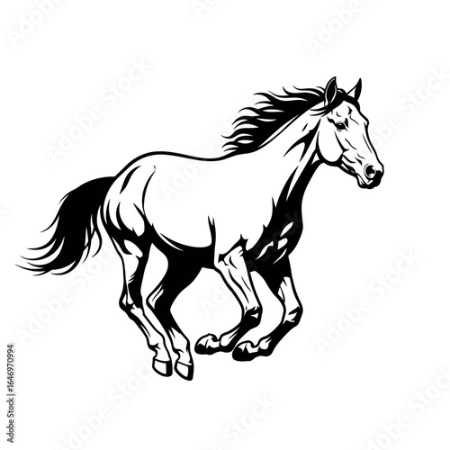 Galloping Horse Black and White Sketch
