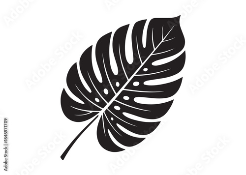 Tropical leaf silhouette vector illustration