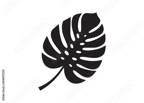 Tropical leaf silhouette vector illustration