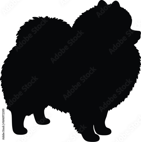 Pomeranian dog silhouette