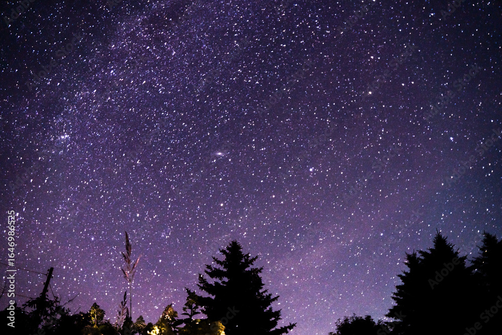 Naklejka premium starry night 