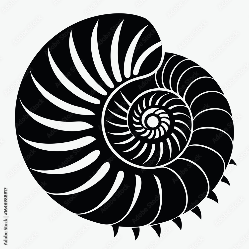 Obraz premium Photo of black and white nautilus shell spiral pattern isolated on white background