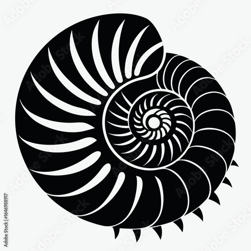 Photo of black and white nautilus shell spiral pattern isolated on white background