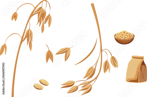 Oat Plant  Grains and Oatmeal Bowl and Paper Bag Healthy Natural Food Agriculture Harvest
