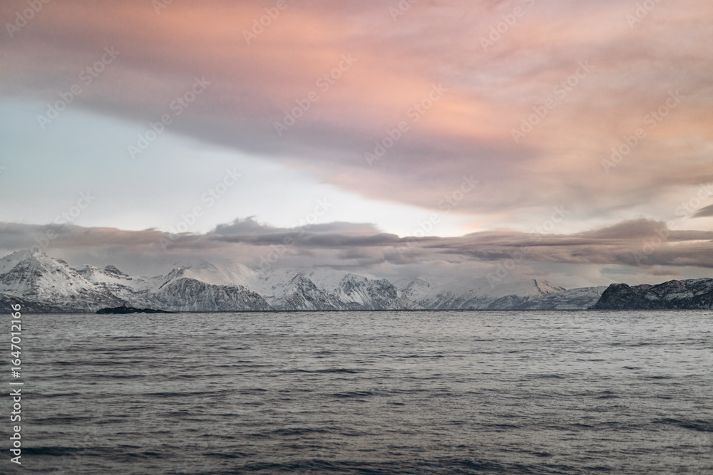 Naklejka premium A panoramic landscape featuring a vast, dark sea under a dramatic sky with a large, sweeping cloud formation and a distant range of snow-capped mountains.