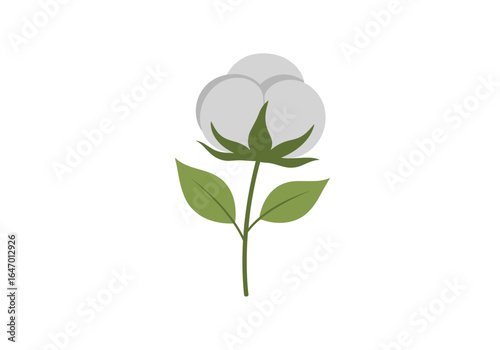 Natural cotton flower bud with green leaves and stem healthy plant fiber source for textile industry
