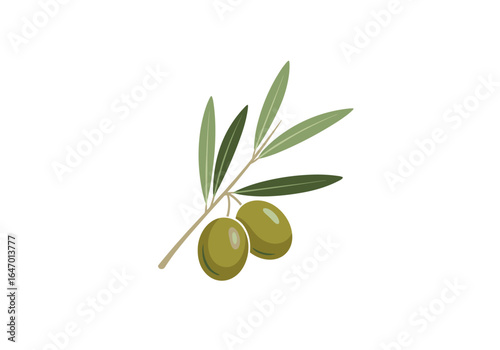 Fresh green olives hanging from a twig with leaves representing healthy mediterranean food and agriculture