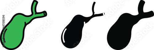 Anatomical human gallbladder illustration in color and silhouette