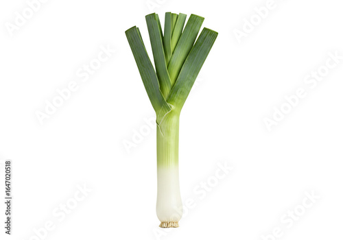 Single fresh leek vegetable isolated on transparent background food ingredient
