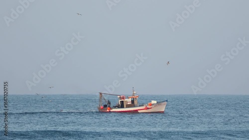 Fishermen unload fresh catch on a boat in open sea, seagulls flying overhead on a clear sunny day. Filmed in 4K.
