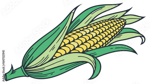 Ear of corn vector illustration, sweet corn harvest, agriculture and farming design element, maize plant icon