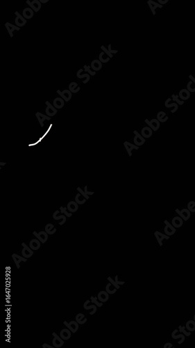 Link in Bio Text Animation | Social Media Motion Graphics Typography for Instagram, TikTok, YouTube Shorts, Content Creator Intro and Outro