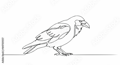 An illustration of a single line drawing raven.