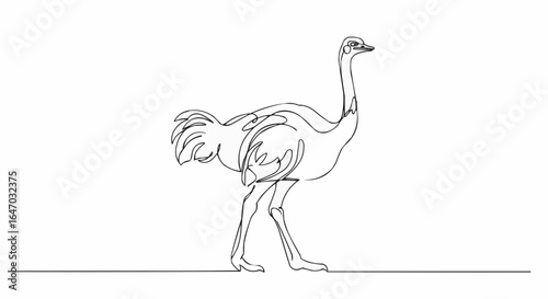 A minimalist line art of an ostrich in motion.