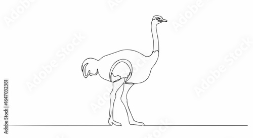 Single-line drawing of an ostrich.