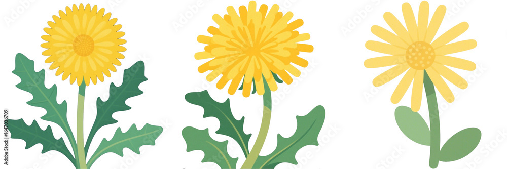 Fototapeta premium タンポポ 花 植物 イラスト