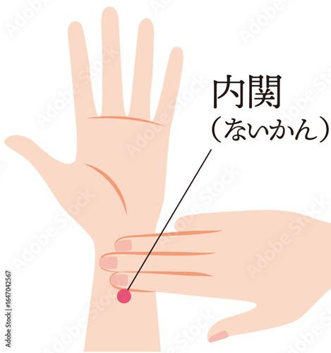 手のツボ　内関