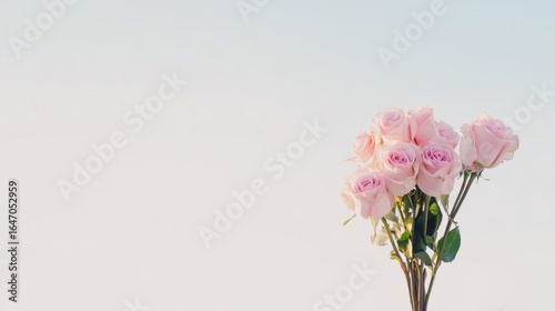 Bouquet of Pink Roses with Soft Background for Romantic Decor