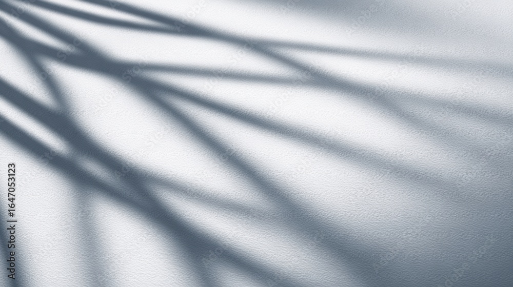 Fototapeta premium Shadows of delicate plant leaves cast on a textured white surface, creating a serene and artistic ambiance