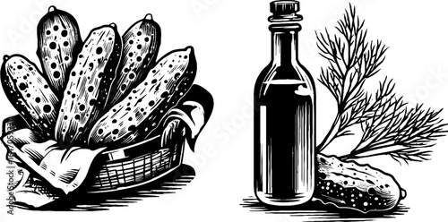 Vintage hand drawn cucumber basket and oil with dill - retro food design for prints and labels