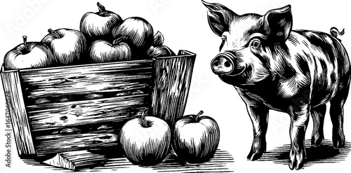 Vintage farmyard scene with engraved pig and rustic apple basket for retro label design