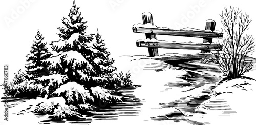 Vintage engraving of snow-covered pine trees and rustic fence in winter scene