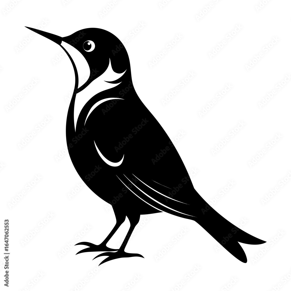 Fototapeta premium Treecreeper vector clean black silhouette design white background